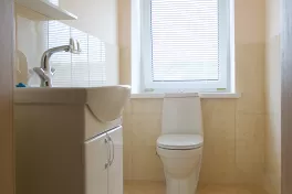 Санузел